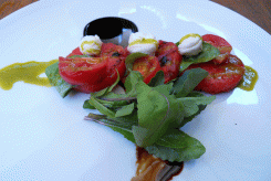 Los Danzantes roasted watermelon and tomato salad