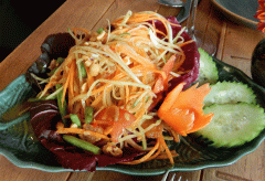 Galanga Thai Kitchen green papaya salad