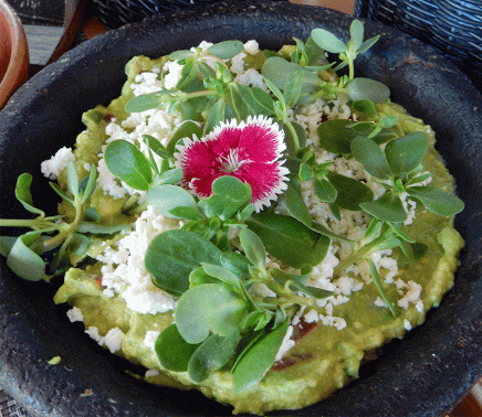 Mezquite guacamole with berros