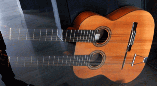 double-neck guitar