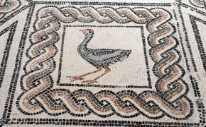 detail of mosaic floor "Birth of Venus," Cartama, 2nd century