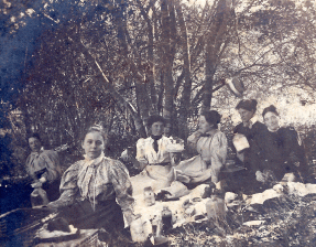 howard family picnic
