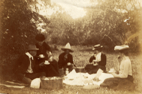 hill country picnic with teacups